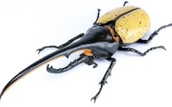 New Fujimi Research Series Hercules Beetle Special Edition W/Commentary Ver.2 Plastic Model