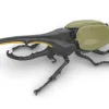 Hot Fujimi Research Series Hercules Beetle Plastic Model