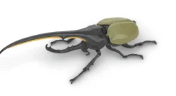 Hot Fujimi Research Series Hercules Beetle Plastic Model