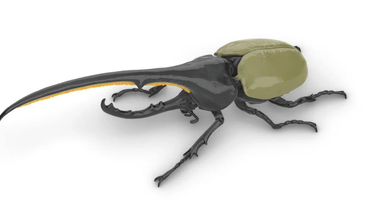 Hot Fujimi Research Series Hercules Beetle Plastic Model