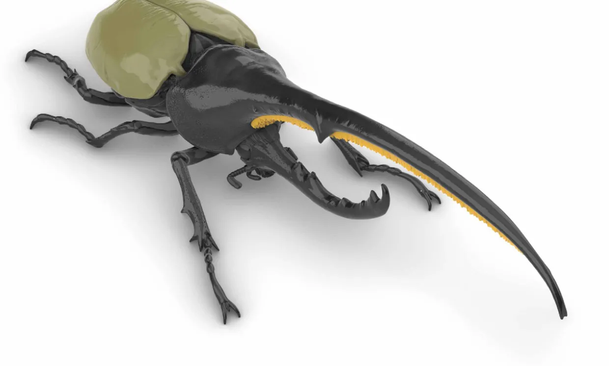 Hot Fujimi Research Series Hercules Beetle Plastic Model