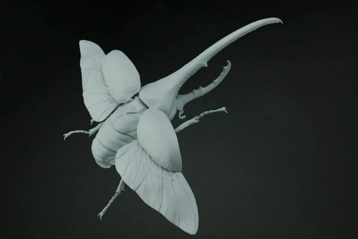 Hot Fujimi Research Series Hercules Beetle Plastic Model
