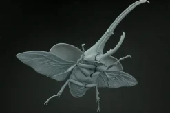 Hot Fujimi Research Series Hercules Beetle Plastic Model