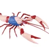 Cheap Fujimi Research Series Procambarus Clarkii / American Crawfish (Kinnikuman) Plastic Model