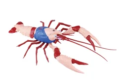 Cheap Fujimi Research Series Procambarus Clarkii / American Crawfish (Kinnikuman) Plastic Model