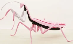 Discount Fujimi Research Series Tenodera Aridifolia (Japanese Giant Mantis) Evangelion 08 Ver. Plastic Model