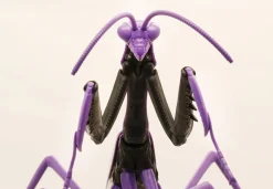 Store Fujimi Research Series Tenodera Aridifolia (Japanese Giant Mantis) Evangelion 01 Ver. Plastic Model