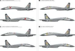 New Great Wall Hobby 1/48 Su-27 Flanker-B Chinese Air Force Operation 30Th Anniversary Plastic Model