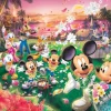 Tenyo Japan Jigsaw Puzzle Dw-1000-361 Disney Mickey Hawaii Wedding (1000 Pieces) Outlet