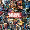 Tenyo Japan Jigsaw Puzzle Rd48-628 Marvel Universe (Double Sides) (48 Pieces) New
