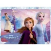 Tenyo Jigsaw Puzzle Disney Frozen 2 Anna And Elsa (80 Pieces) Child Puzzle Sale