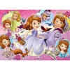 Tenyo Jigsaw Puzzle Disney Princess Sophia's Day (80 Pieces) Child Puzzle Shop