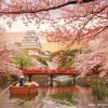 Yanoman 2308-28 Jigsaw Puzzle Himeji Castle And Cherry Blossoms (150 S-Pieces) Best