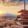 Yanoman 05-1023 Jigsaw Puzzle Mt. Fuji And Sakura In Yamanashi (500 Pieces) Online