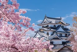 Yanoman 01-2087 Jigsaw Puzzle National Treasure Hikone Castle And Sakuragi Shiga Japan (108 L-Pieces) Hot